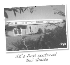 New Zealand's first Kiwi House open to the public on July 17, 1971 - Otorohanga Kiwi House
