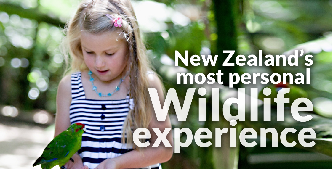 New Zealands Most Personal Wildlife Experience - Otorohanga Kiwi House