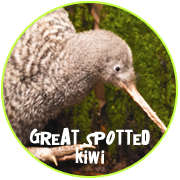 Adopt a Great Spotted Kiwi - Otorohanga Kiwi House